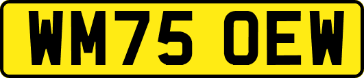 WM75OEW