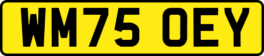 WM75OEY