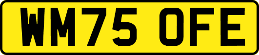 WM75OFE
