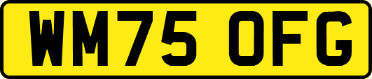 WM75OFG