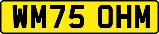 WM75OHM
