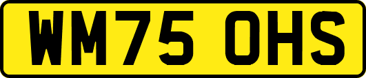 WM75OHS