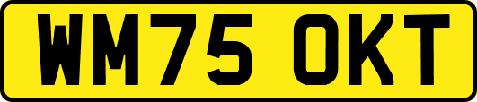 WM75OKT