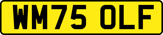 WM75OLF
