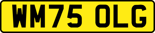 WM75OLG