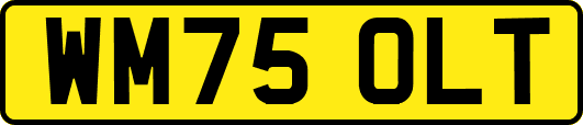 WM75OLT