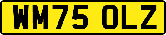 WM75OLZ
