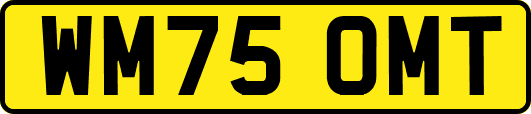 WM75OMT