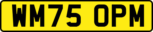 WM75OPM