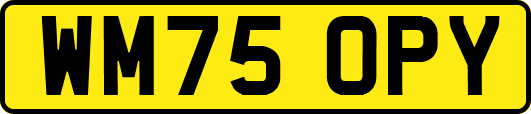 WM75OPY