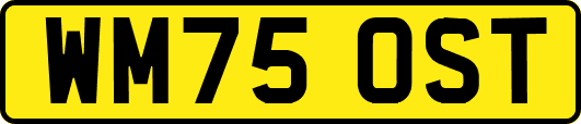 WM75OST