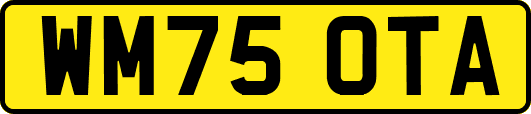 WM75OTA