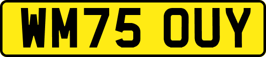 WM75OUY