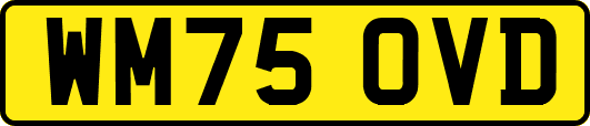 WM75OVD