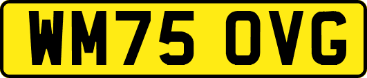 WM75OVG