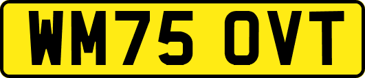 WM75OVT