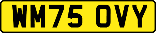 WM75OVY