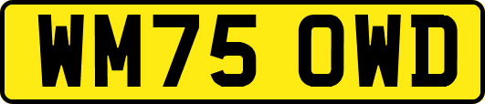 WM75OWD