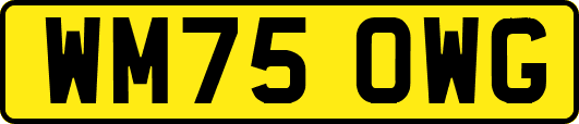 WM75OWG