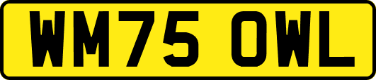 WM75OWL