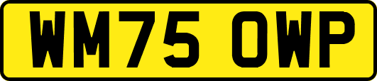 WM75OWP