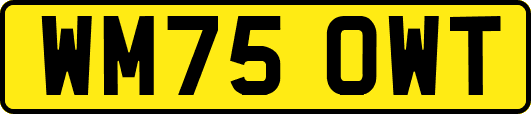 WM75OWT