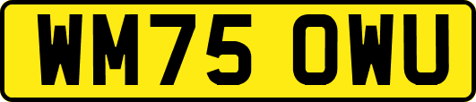 WM75OWU