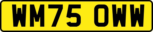 WM75OWW