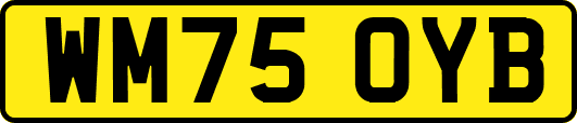 WM75OYB