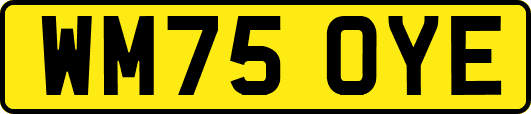 WM75OYE