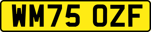 WM75OZF