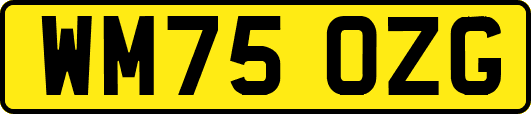 WM75OZG