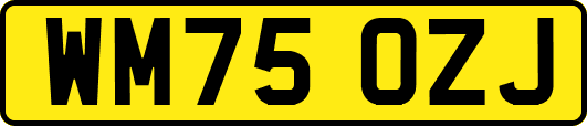 WM75OZJ