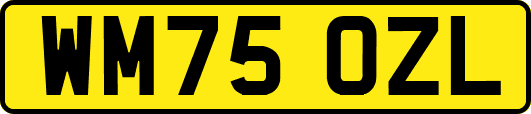 WM75OZL