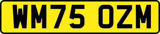 WM75OZM