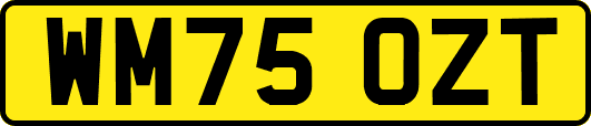 WM75OZT