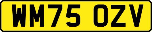 WM75OZV