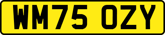 WM75OZY
