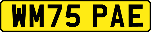 WM75PAE