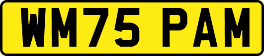WM75PAM