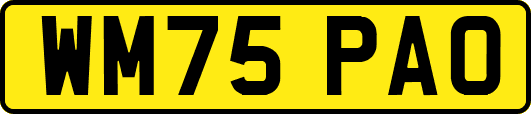 WM75PAO
