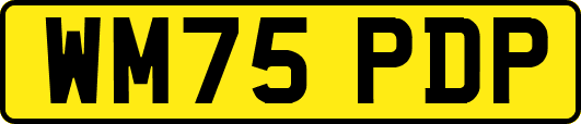 WM75PDP