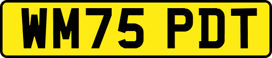 WM75PDT