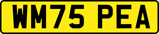 WM75PEA