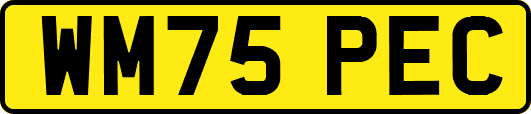 WM75PEC