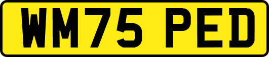 WM75PED