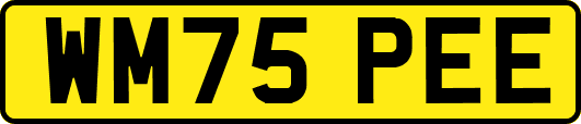 WM75PEE