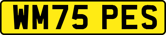 WM75PES