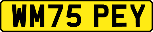 WM75PEY