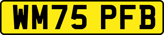WM75PFB